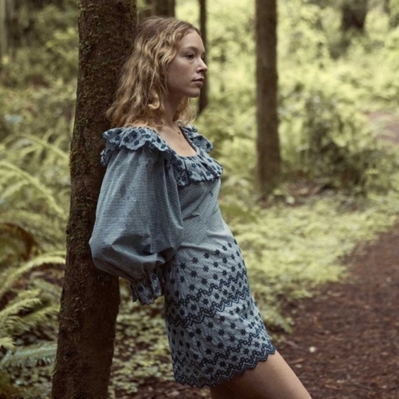 NWT Doen Franique Cotton Ruffle Eyelet Long Sleeve Dress Azure Paris Gingham - Picture 7 of 14